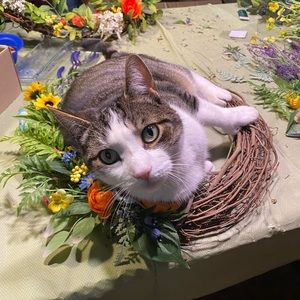 Meet your Posher, Gail